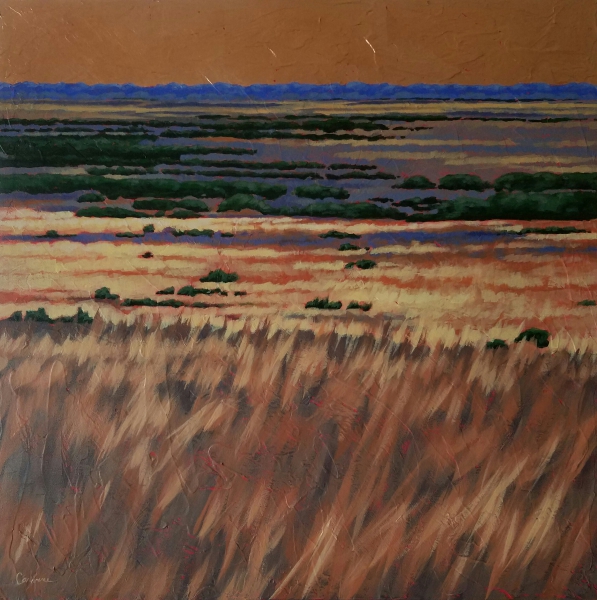 Click here to view Paynes Prairie by Carlynne Hershberger