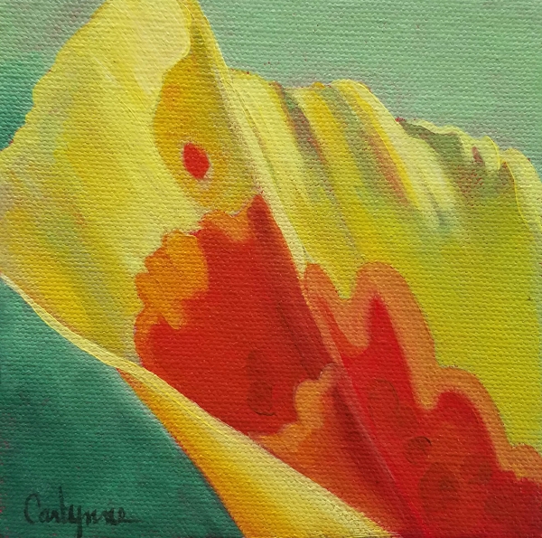 Click here to view Canna Lily by Carlynne Hershberger