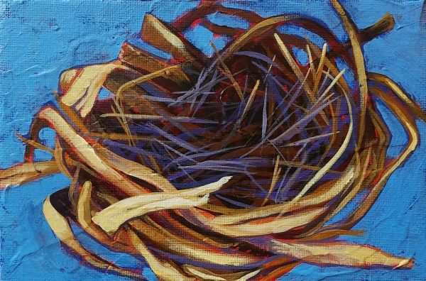 #21 Nest by Carlynne Hershberger