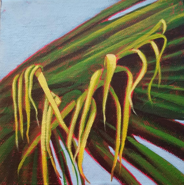 Click here to view Palm Frond by Carlynne Hershberger