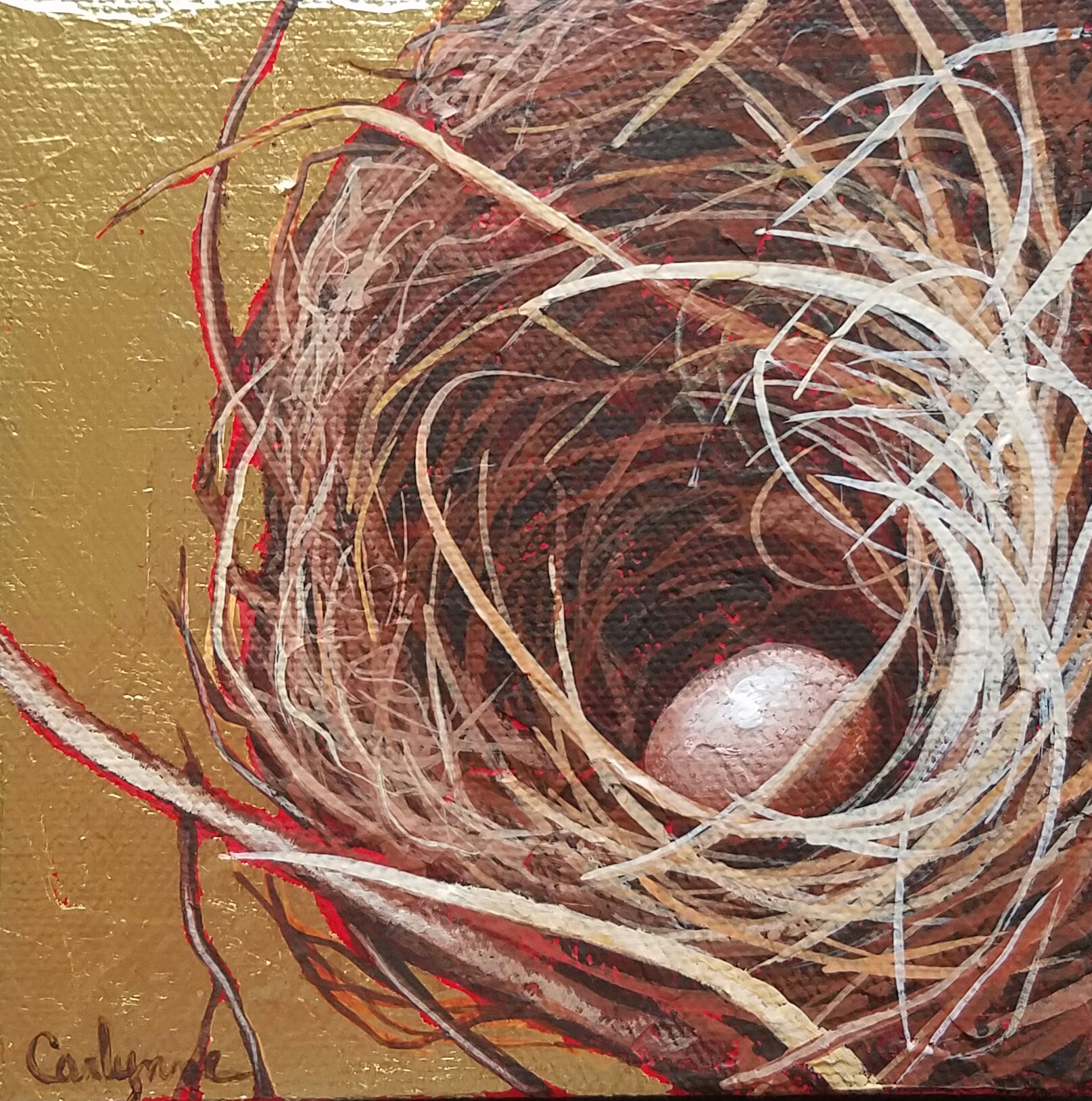 Wren by Carlynne Hershberger