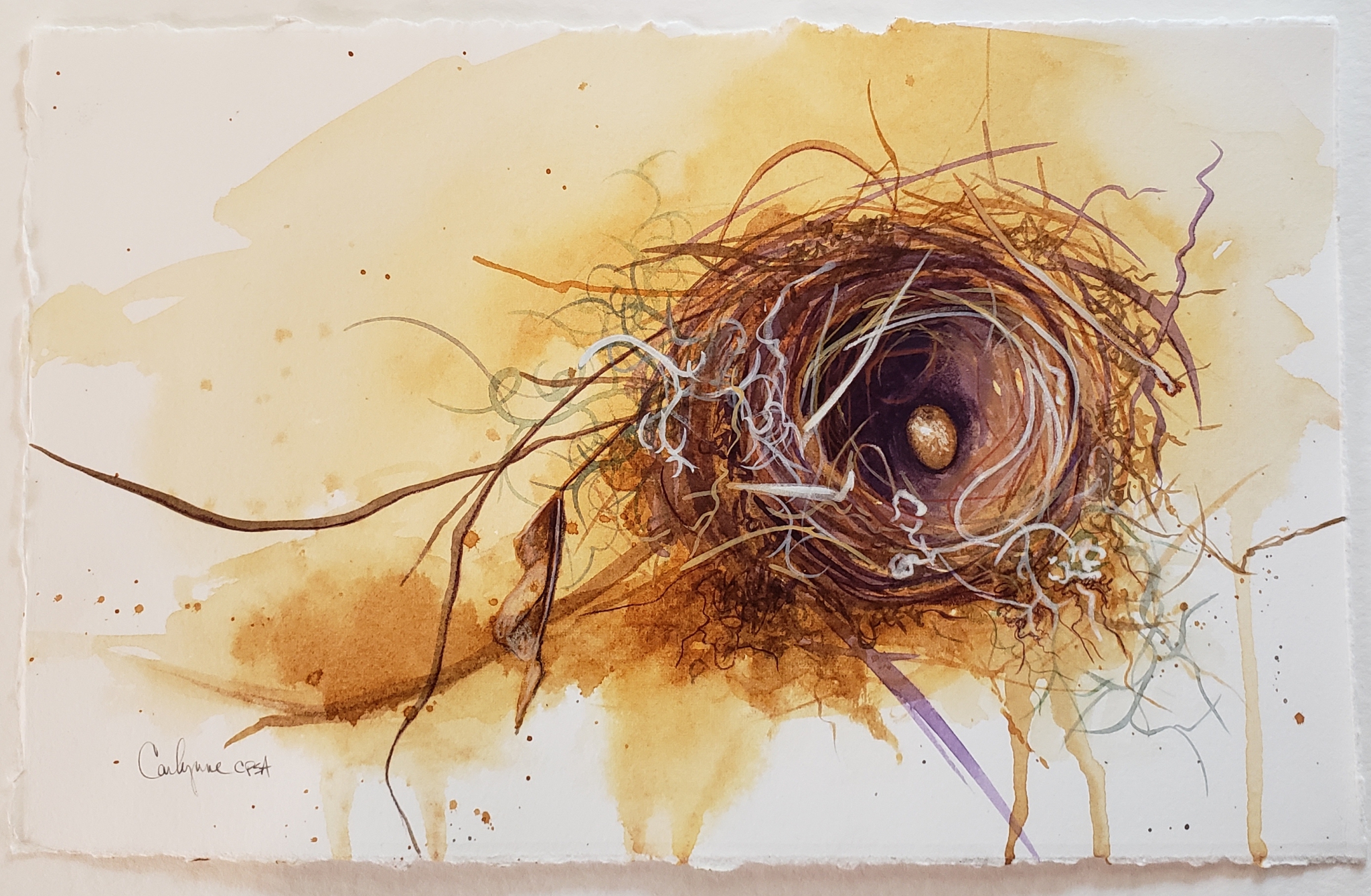 Click here to view Singleton by Carlynne Hershberger