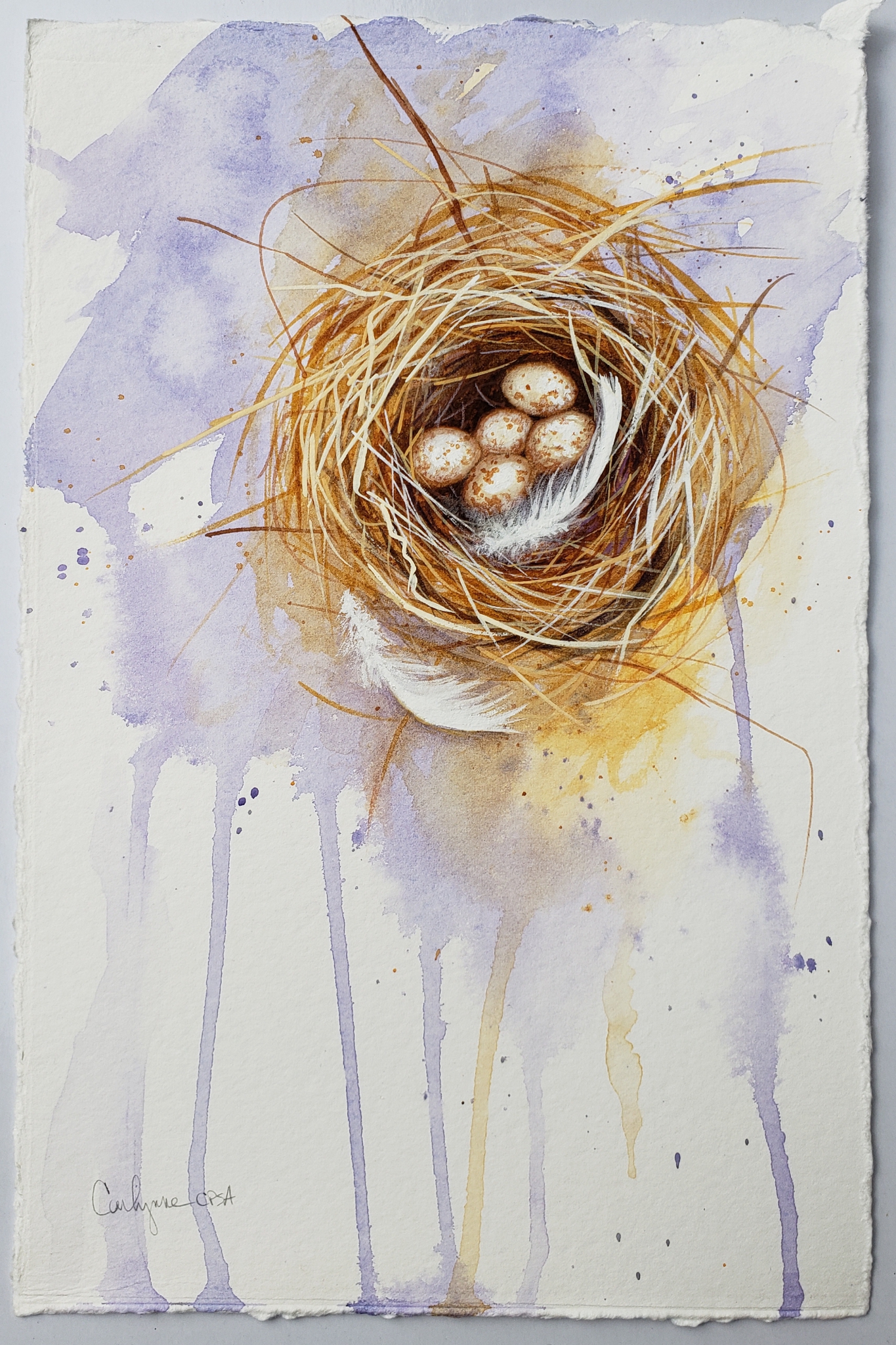 Click here to view 2 Feathers by Carlynne Hershberger