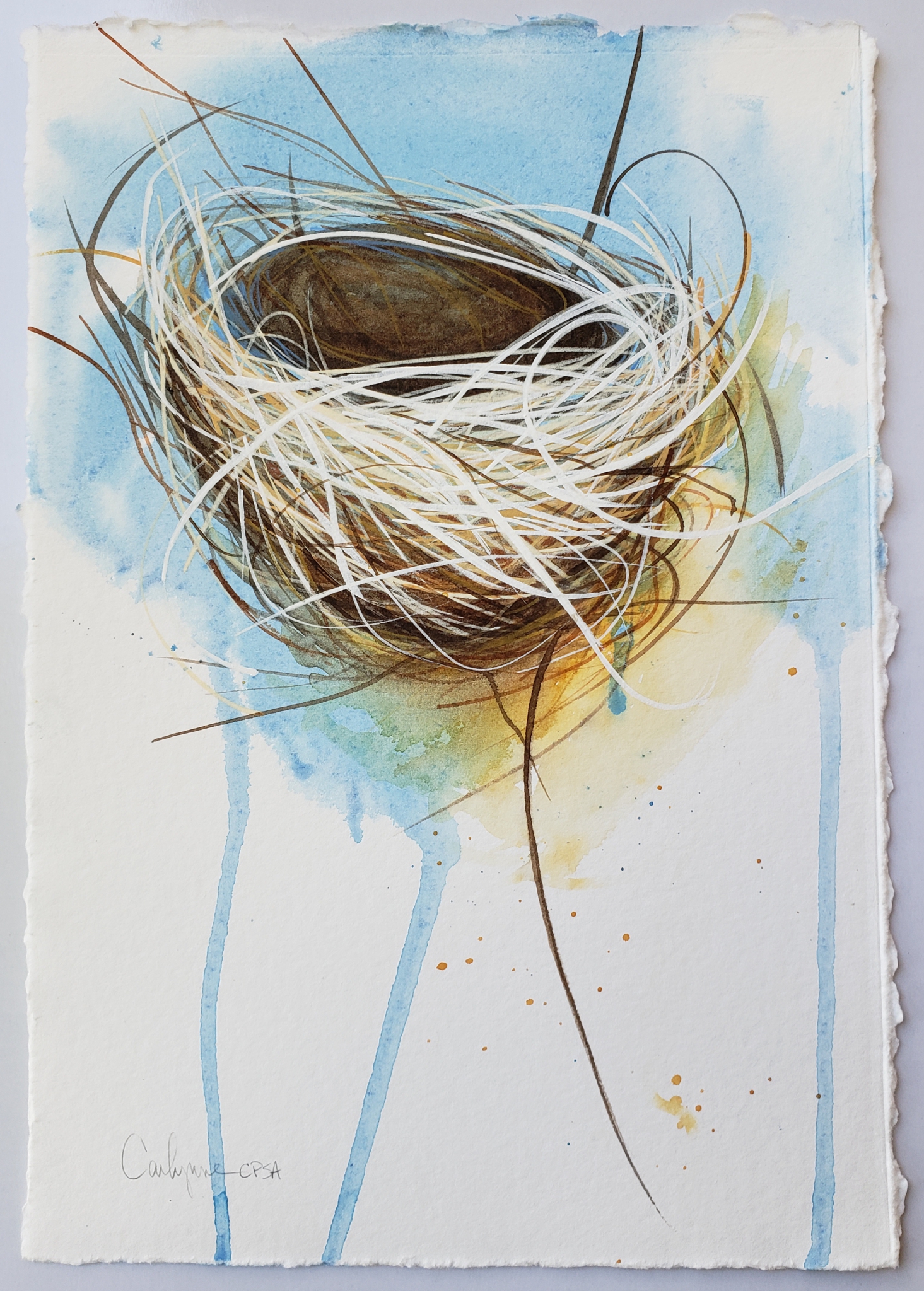 Horse Hair by Carlynne Hershberger