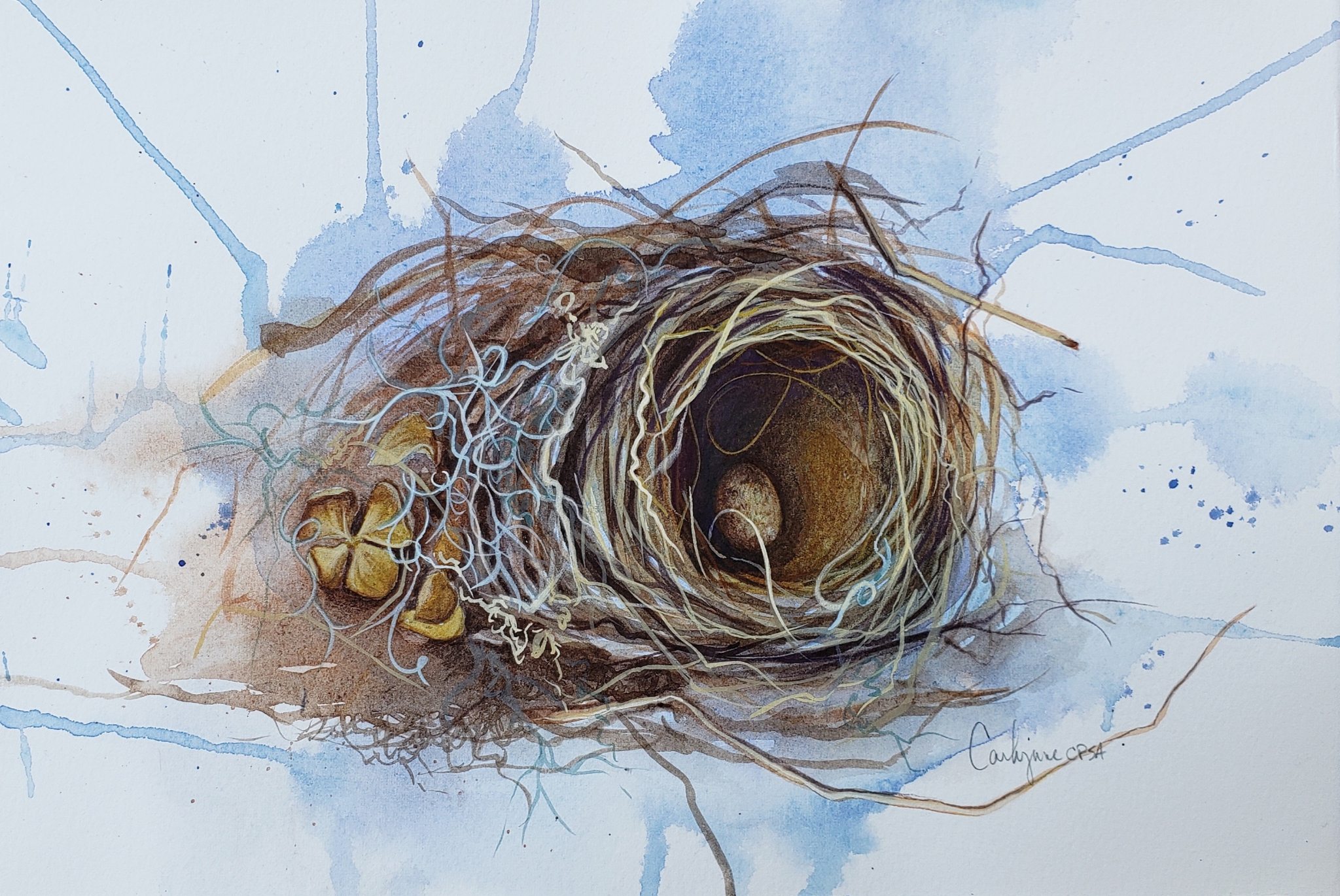 Dried Flowers by Carlynne Hershberger