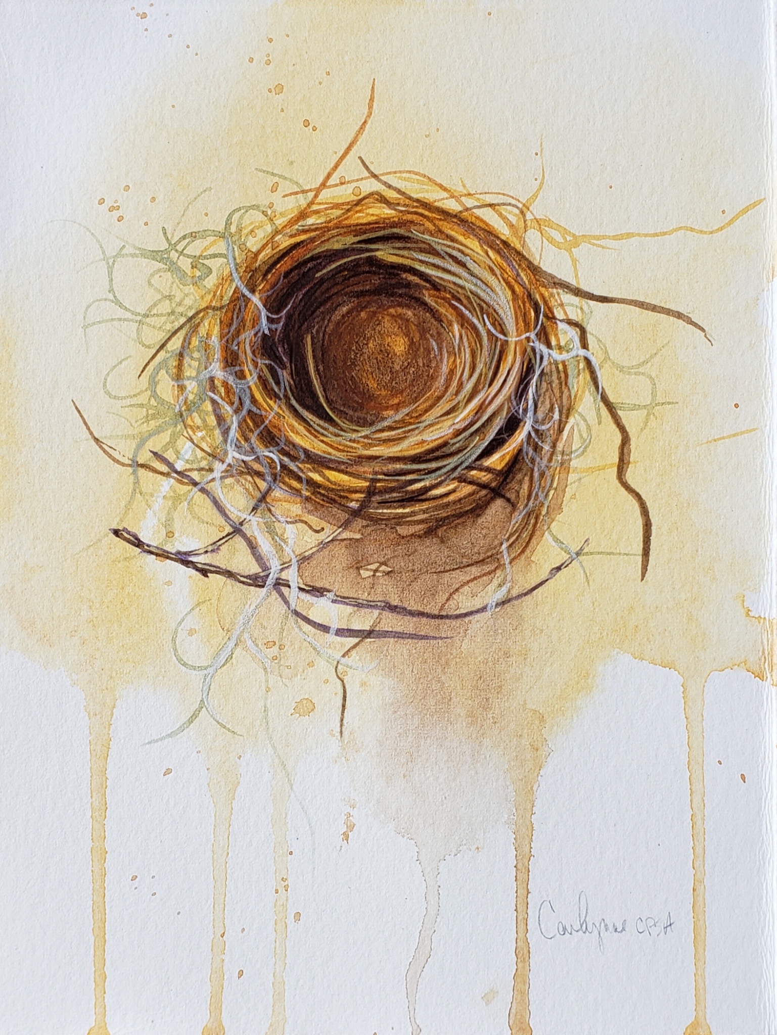 Click here to view Spanish Moss by Carlynne Hershberger