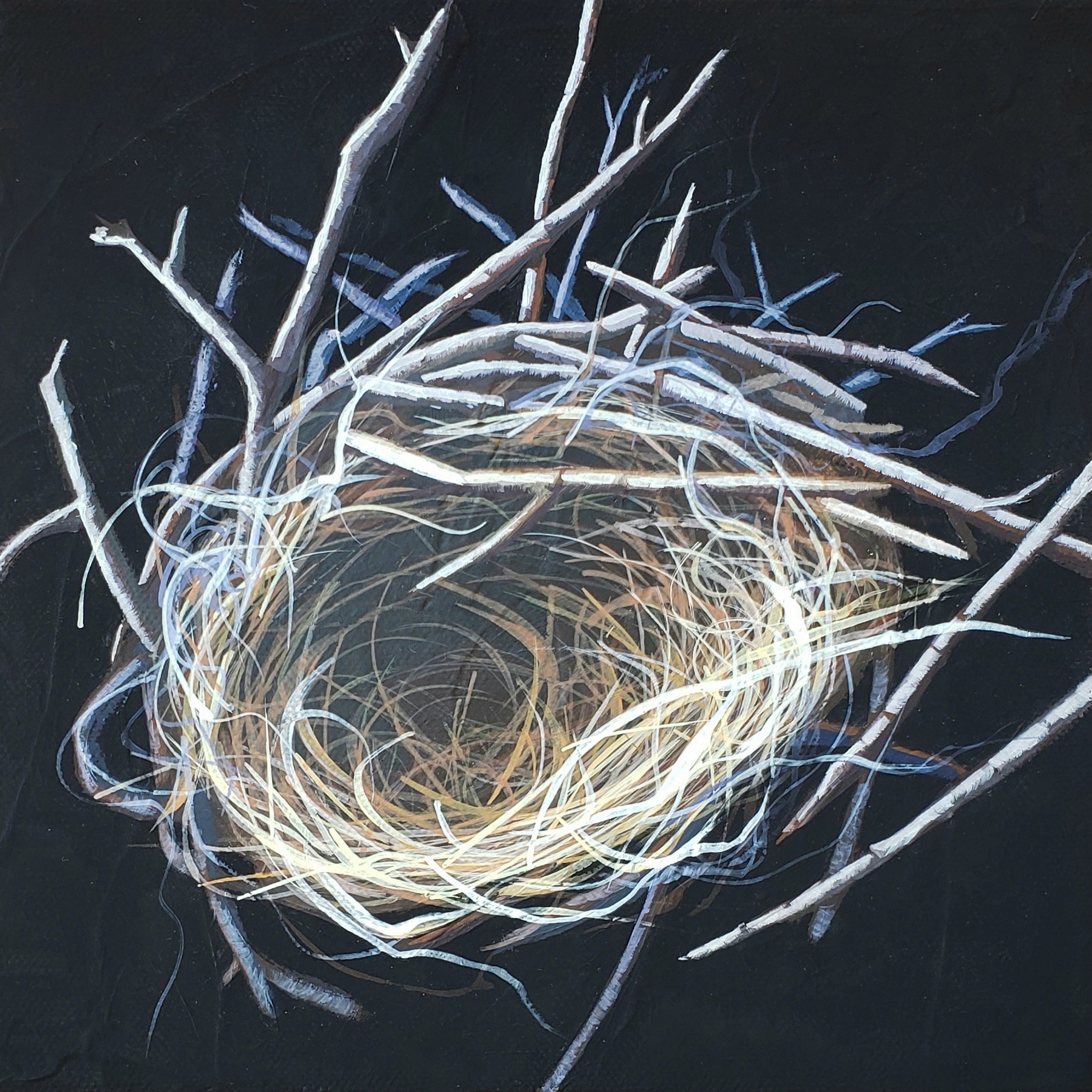 Floating by Carlynne Hershberger