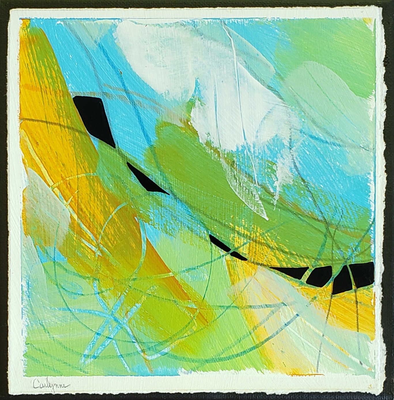 Click here to view Discovery by Carlynne Hershberger
