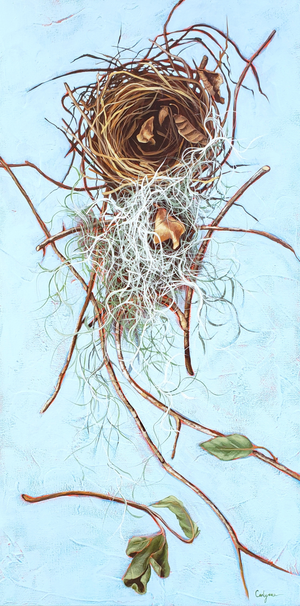 Click here to view I Wish to Fly Among Them by Carlynne Hershberger