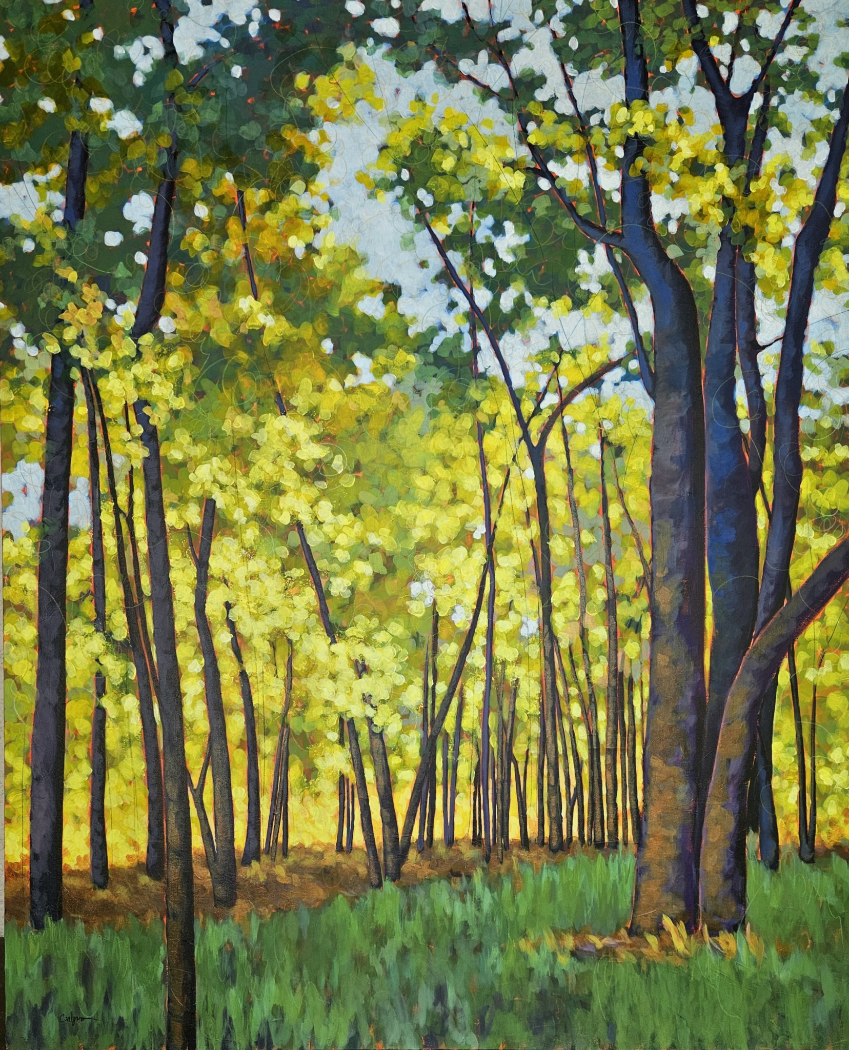 Click here to view Light Through the Trees by Carlynne Hershberger