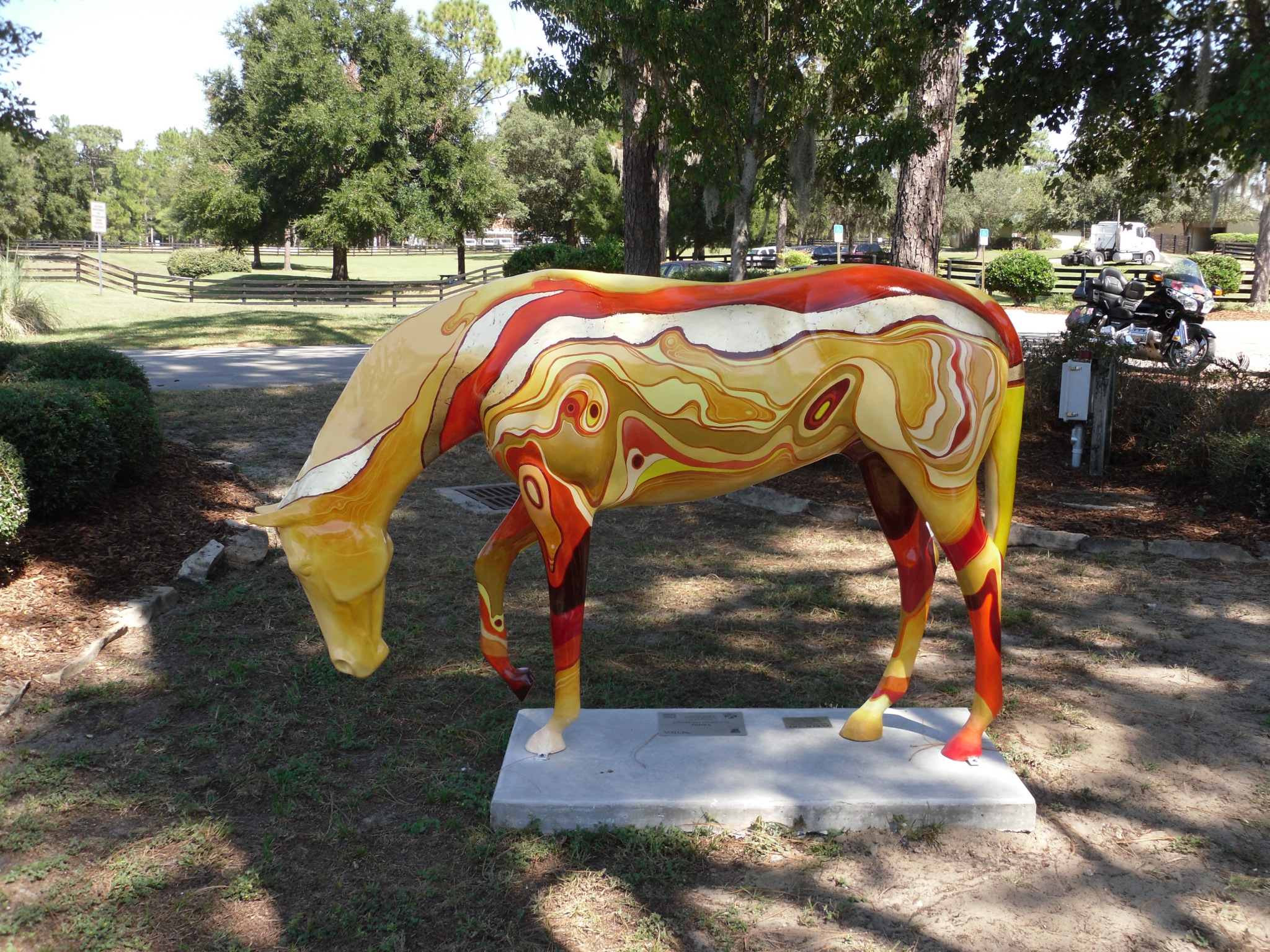 Sunny by Carlynne Hershberger