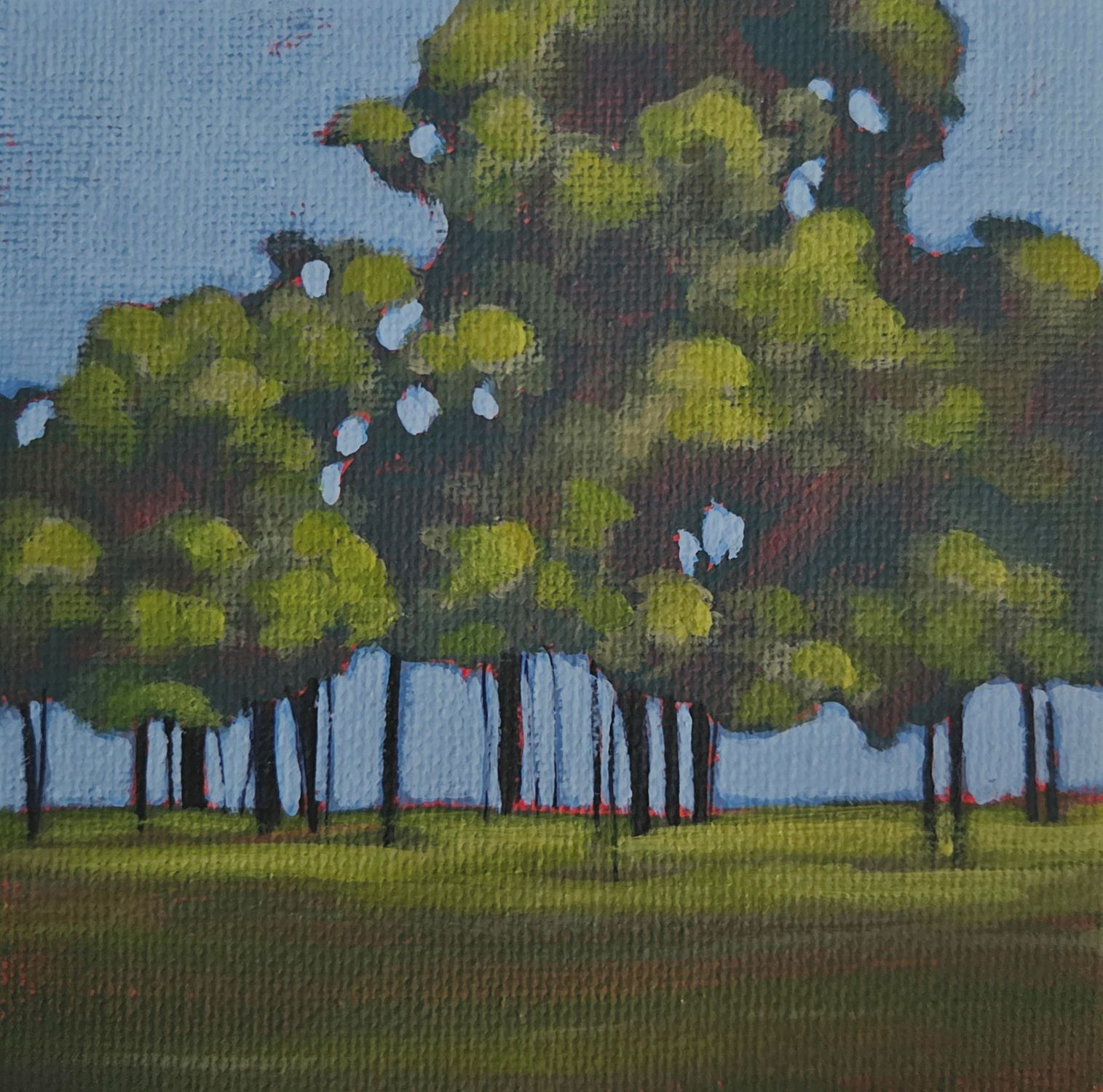 Tree Line by Carlynne Hershberger