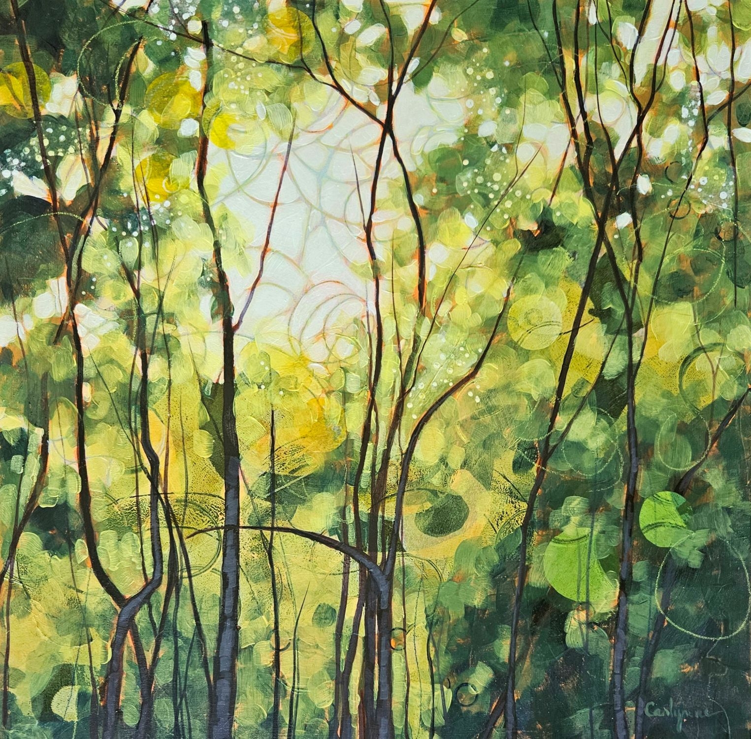 Essence 1 My Backyard by Carlynne Hershberger