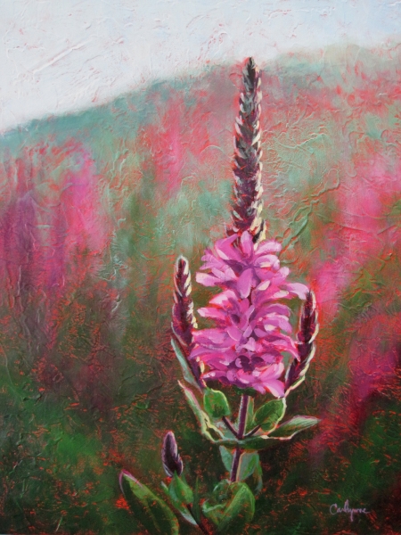 Click here to view Purple Loosestrife 2 by Carlynne Hershberger
